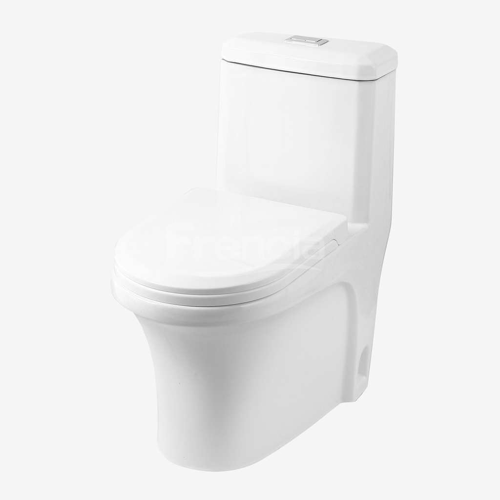ONE PIECE TOILET WC-313P