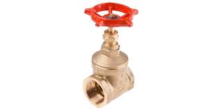 GATE VALVE 1/2"