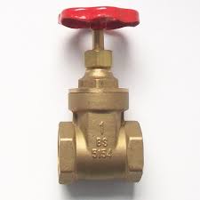 GATE VALVE 1"