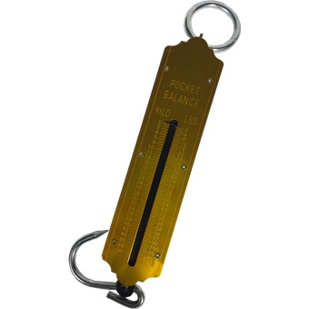 POCKET SCALE 50KG