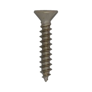 WOOD SCREW 1X5